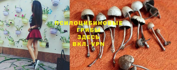 PSILOCYBIN Белоозёрский